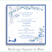 Birdcage sq blue