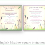 English meadow square invites a