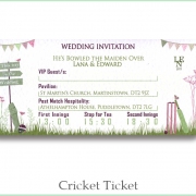 cricket ticket