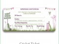 cricket ticket