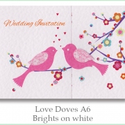love doves a6 brights on white