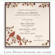 love doves brown cream
