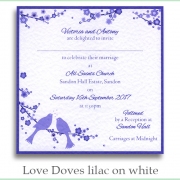 love doves lilac white