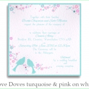 love doves sq turq pink on white