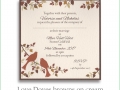 love doves brown cream