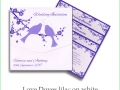 love doves lilac on white