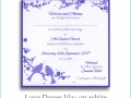 love doves lilac white