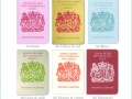 Passport quirky fun destination travel wedding invitation 1