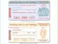 boarding pass quirky fun destination travel wedding invitation