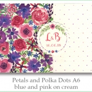 p and p a6 blue pink cream