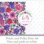 p and p a6 blue pink white