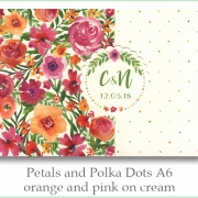 p and p a6 orange pink creram