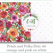 p and p a6 orange pink white