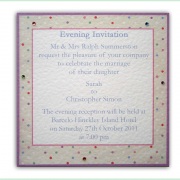 Polka dot vintage cute pretty pocketfold wedding invitation 5