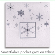Snow pf grey white