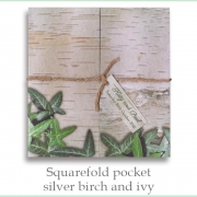 squarefold birch